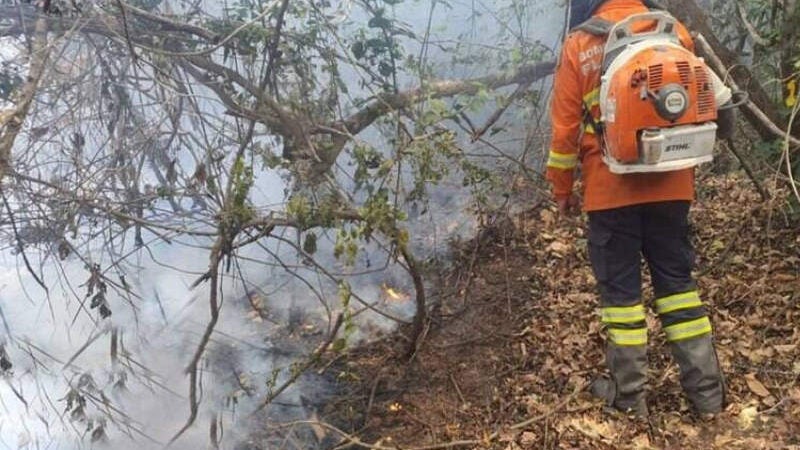 Brasileiros criam ‘Inteligência Artificial’ que detecta incêndios em segundos