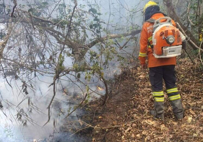 Brasileiros criam ‘Inteligência Artificial’ que detecta incêndios em segundos