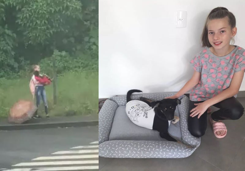 Família da menina de 12 que agasalhou cadelinha ferida adota animal