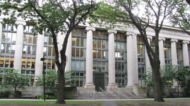 Lei de cotas ajuda a reduzir desigualdades, diz universidade americana