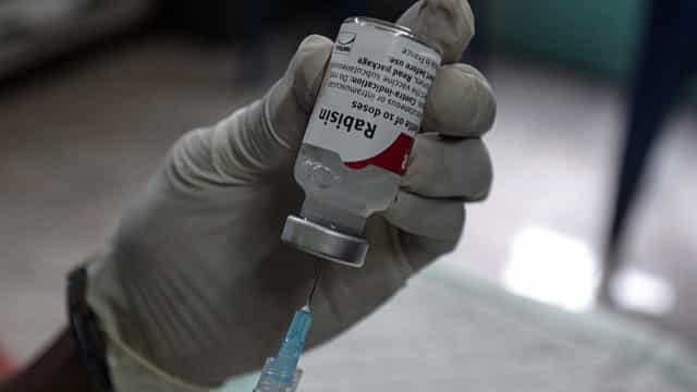 Minas investiga raiva humana em criança de 11 anos; 4º caso no estado