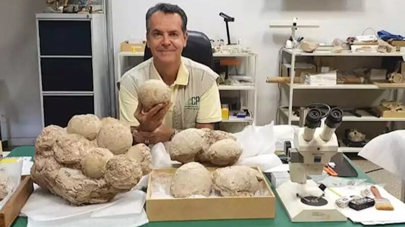 1º ninho de ovos de dinossauro no Brasil é encontrado em MG