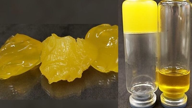 Cientistas brasileiros desenvolvem óleogel para substituir gorduras trans e saturadas