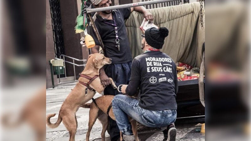 Projeto ajuda pessoas em situação de rua com animais de estimação