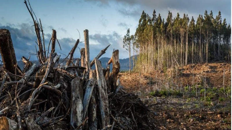 Ganhador de R$ 1 bilhão na loteria doa quase tudo para salvar o planeta