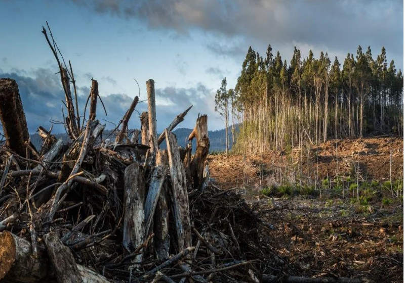 Ganhador de R$ 1 bilhão na loteria doa quase tudo para salvar o planeta