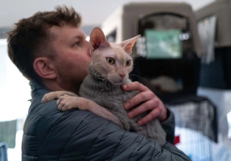 Veterinário polonês vai à Ucrânia e salva mais de 260 animais da guerra