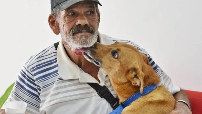 Idoso reencontra cachorro que perdeu após chuvas no RJ