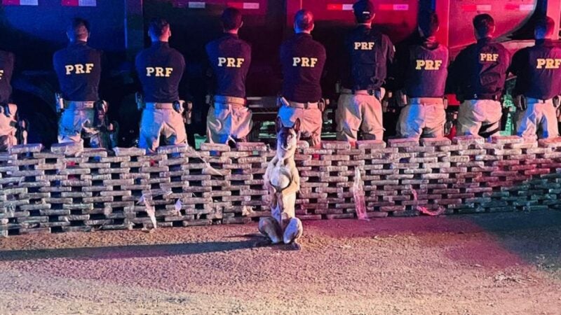 PRF apreende mais de meia tonelada de cocaína em MT