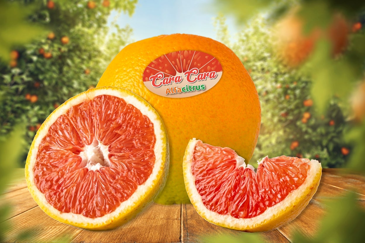 AlfaCitrus leva doces lançamentos em sua primeira vez na Apas Show