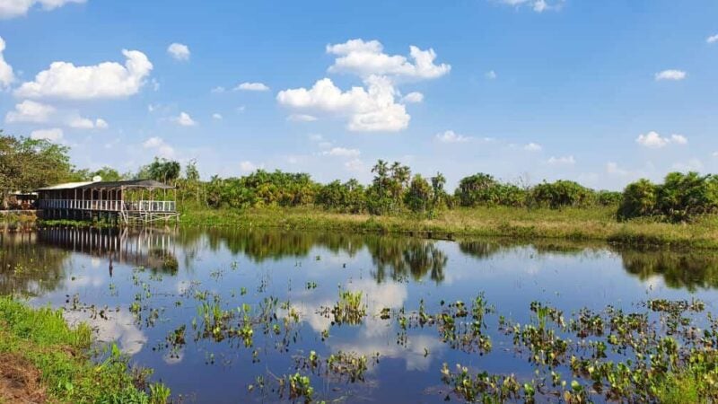 Empaer promove encontro do turismo rural durante a Fit Pantanal 2022 em Mato Grosso
