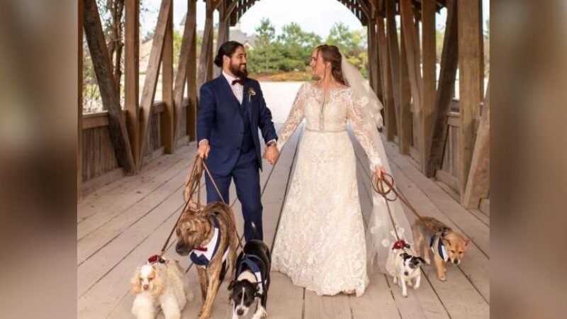 Cães que “aprovaram” noivo participam do casamento e fazem sucesso