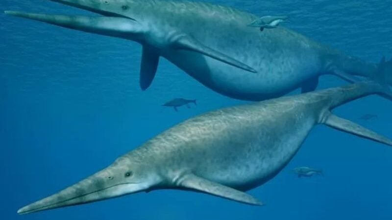 Cientistas encontram fósseis de um dos maiores animais que já existiram na Terra