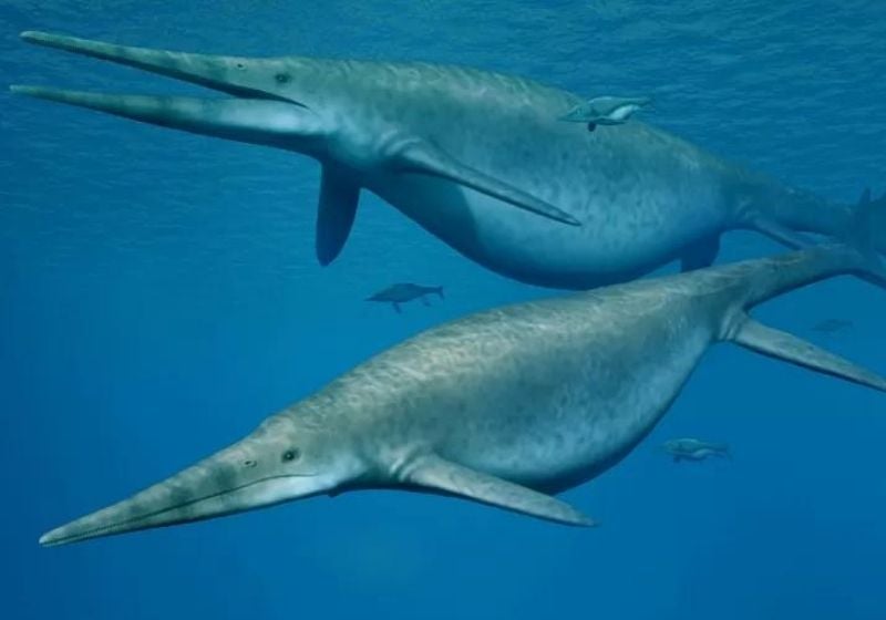 Cientistas encontram fósseis de um dos maiores animais que já existiram na Terra