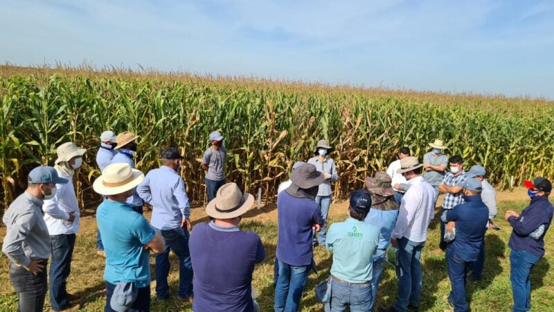 Fundação MT dá início aos eventos de segunda safra