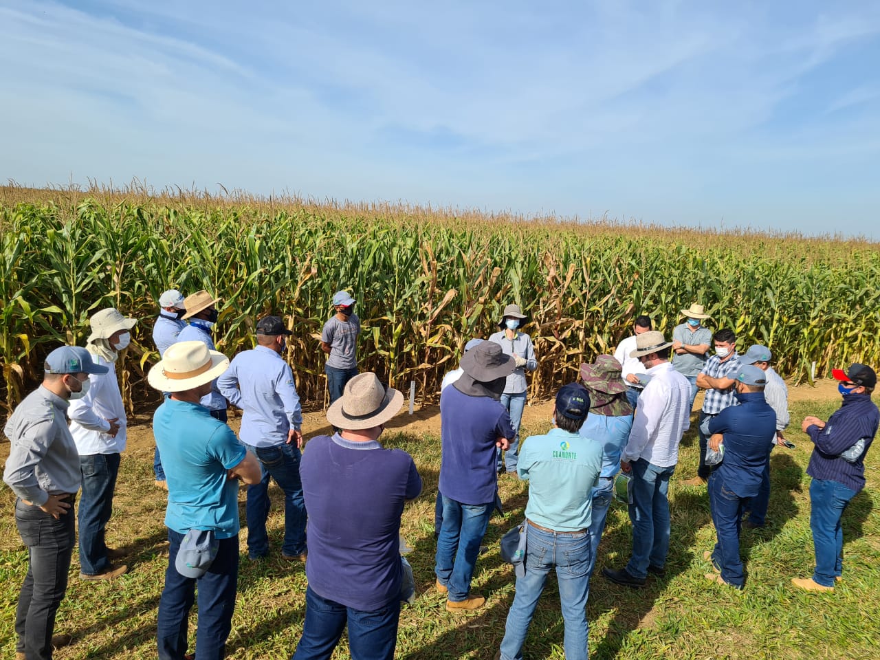 Fundação MT dá início aos eventos de segunda safra