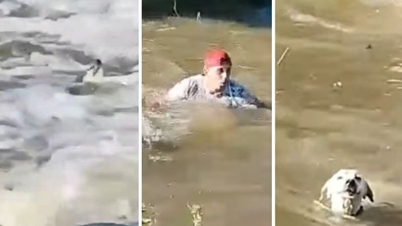 Homem pula em rio e salva cachorro no Ceará: VÍDEO