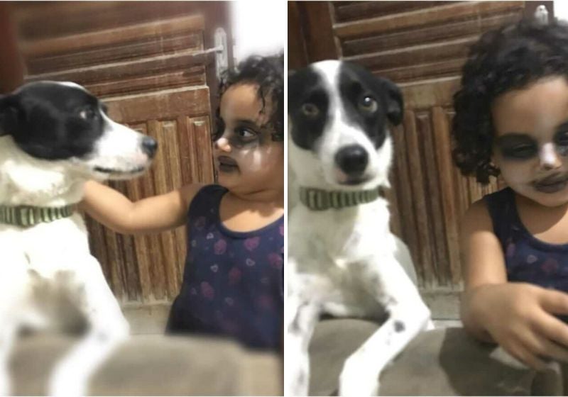 Menina pinta o rosto para ‘ficar igual’ ao seu cachorro e viraliza. Vídeo