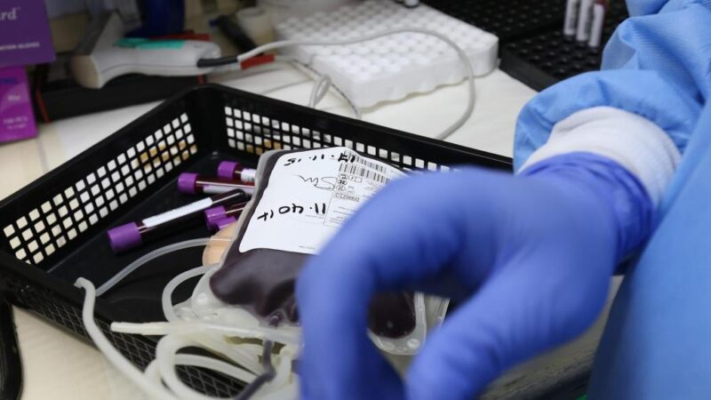 Projeto de lei de incentiva doação de medula óssea em Mato Grosso