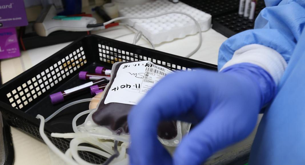 Projeto de lei de incentiva doação de medula óssea em Mato Grosso