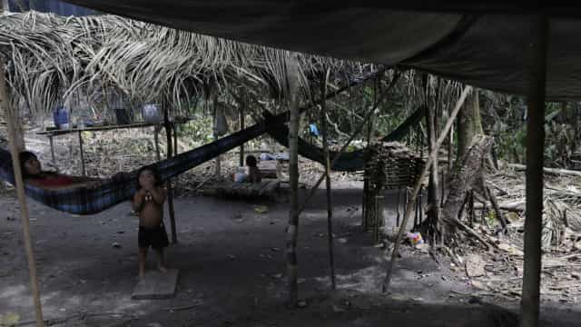 Senado aprova projeto para linhas elétricas em terras indígenas