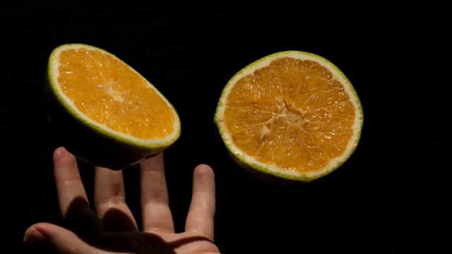 Safra de laranja volta a crescer em SP e MG após dois anos ruins