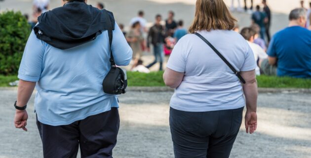 Obesidade deve chegar a quase 30% da população brasileira em 2030