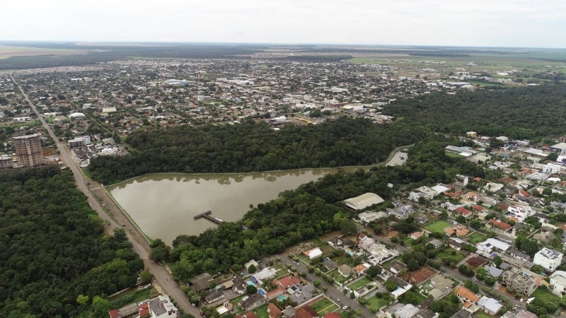 Em Lucas: Após detecção de caso de raiva em morcego, moradores devem ficar alerta