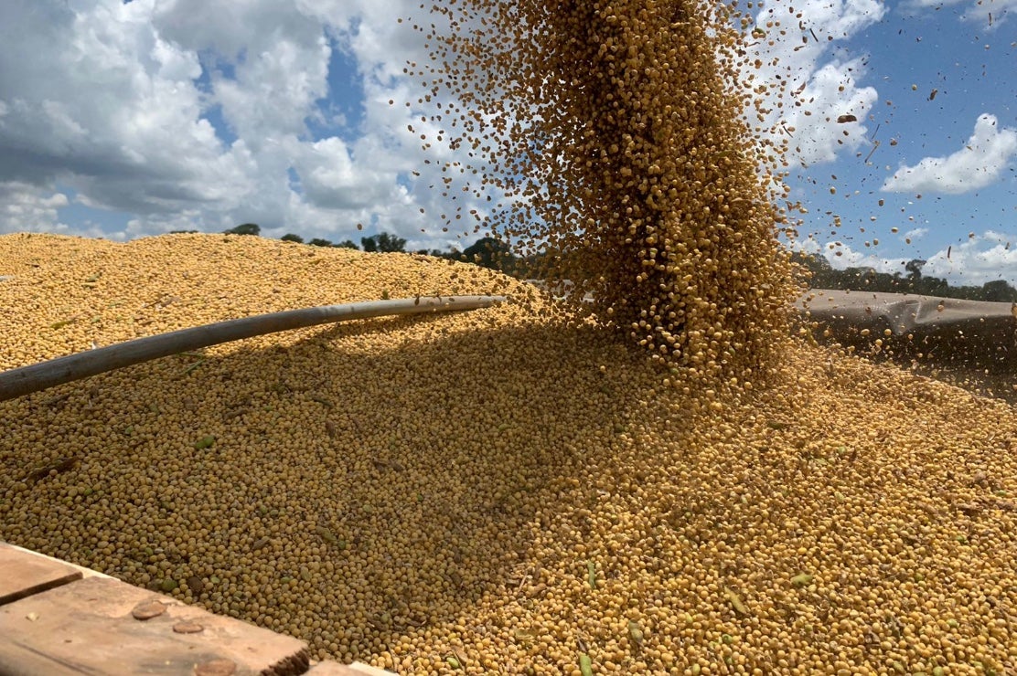 Soja disponível em Mato Grosso tem queda de 1% e vai a R$ 164