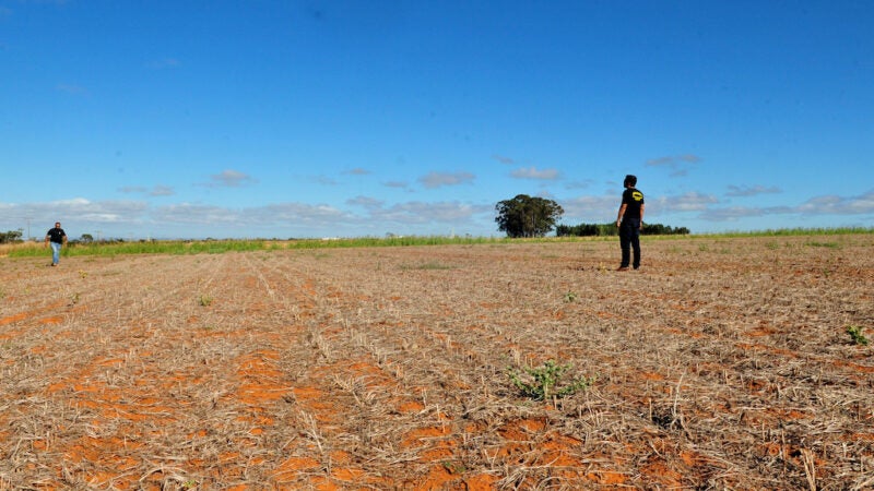 Começa vazio sanitário em Mato Grosso para controle da ferrugem da soja