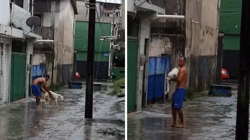 Homem ajuda seu cão paraplégico a tomar banho de chuva e emociona