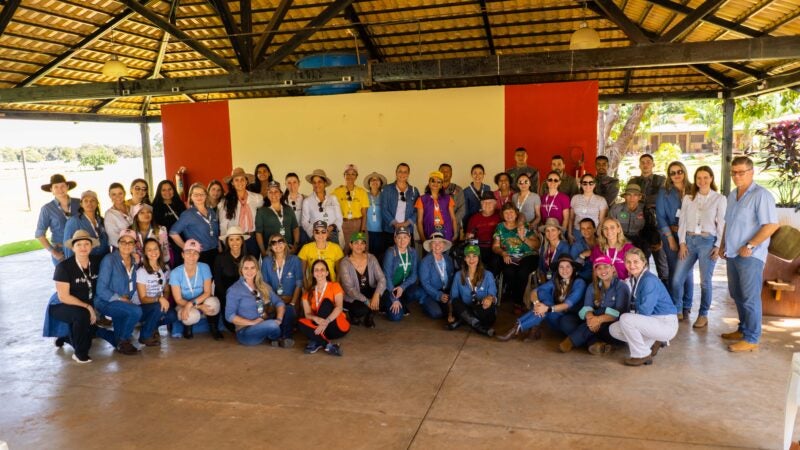 Mulheres falam sobre experiência em conhecer pecuária e turismo no Pantanal