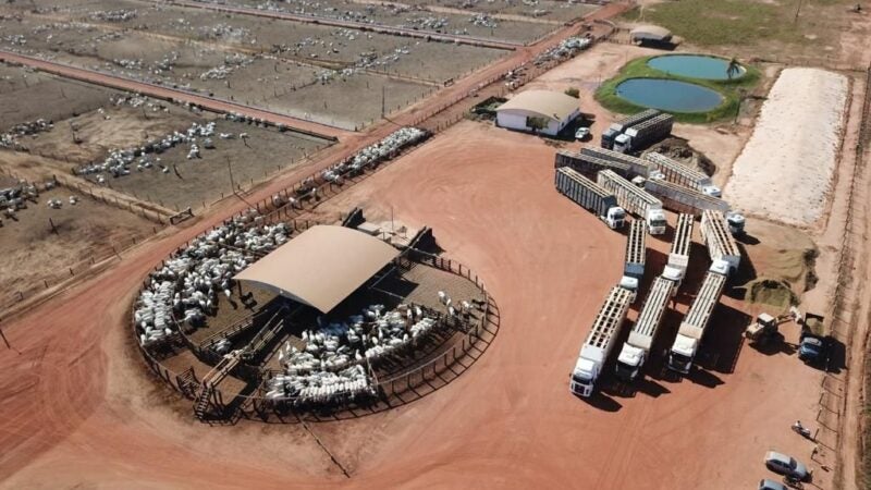 A retomada das atividades frigoríficas do SIF – 411, pela parceria com a Ramax Group aumentam as opções de destino e melhoram receita do setor