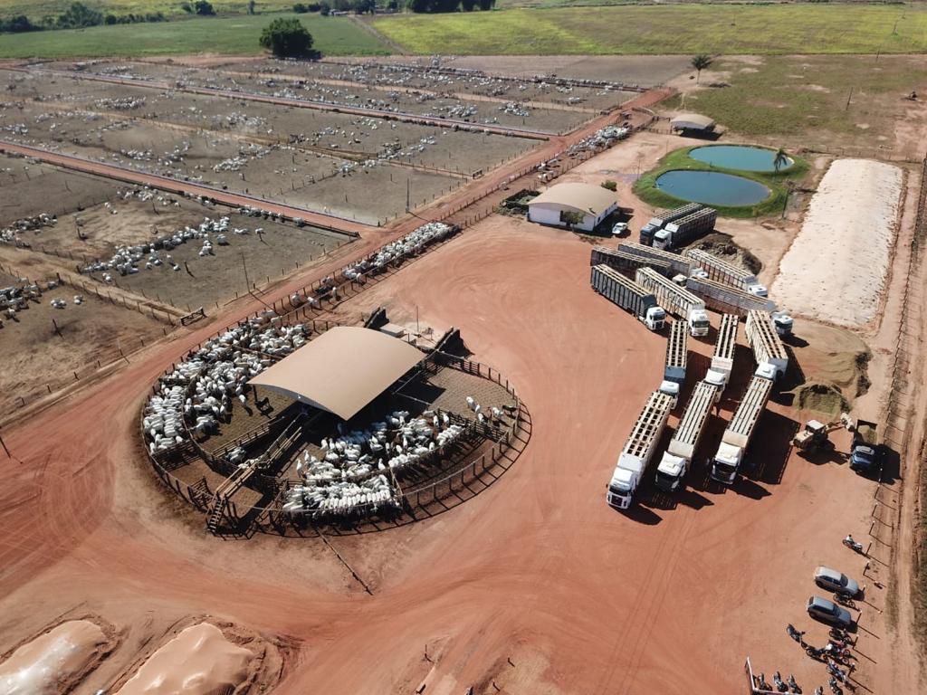 A retomada das atividades frigoríficas do SIF – 411, pela parceria com a Ramax Group aumentam as opções de destino e melhoram receita do setor