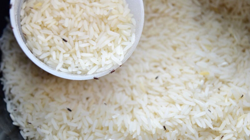 Alimentos com carunchos: nutricionista esclarece sobre prejuízos à saúde