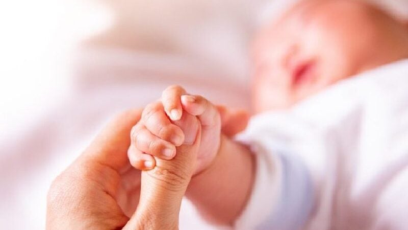 Doadores de Carinho: eles levam amor a bebês prematuros em UTIs