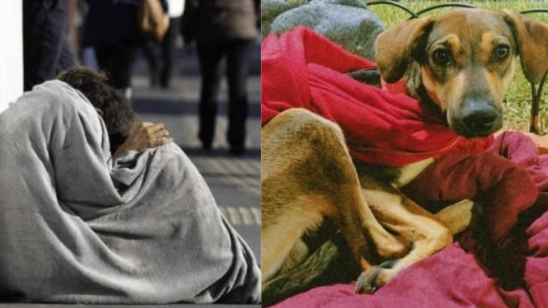 ONG arrecada R$ 17 mil e ajuda moradores e animais de rua no inverno