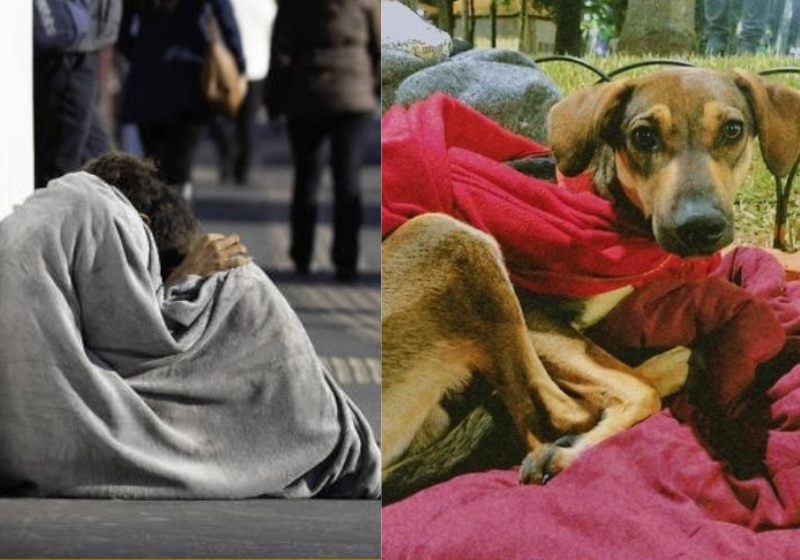 ONG arrecada R$ 17 mil e ajuda moradores e animais de rua no inverno