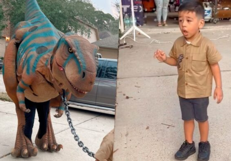 Garoto que ama dinos ganha T-Rex de aniversário e tem a melhor reação
