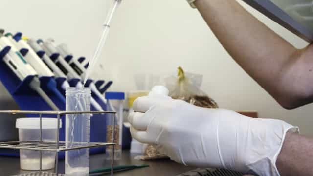 Brasil tem 1º caso ‘provável’ de hepatite misteriosa que ataca crianças