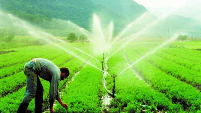 Em meio à crise do clima, Bahia afrouxa normas para irrigação