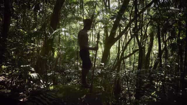 Pressionada, Funai renova portaria que restringe acesso à Terra Indígena Pirititi