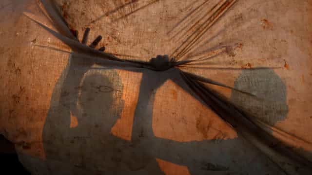 Mais de 12 mil licenças de pescadores profissionais são suspensas