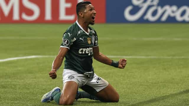 Palmeiras assume a liderança do Brasileirão com goleada sobre o Botafogo
