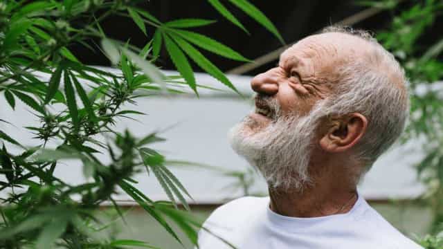 Ricardo Petraglia mostra pés de maconha e avisa aos amigos: ‘Não posso dar’