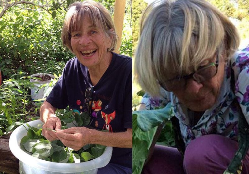 Conheça norte-americana que criou floresta no sertão brasileiro