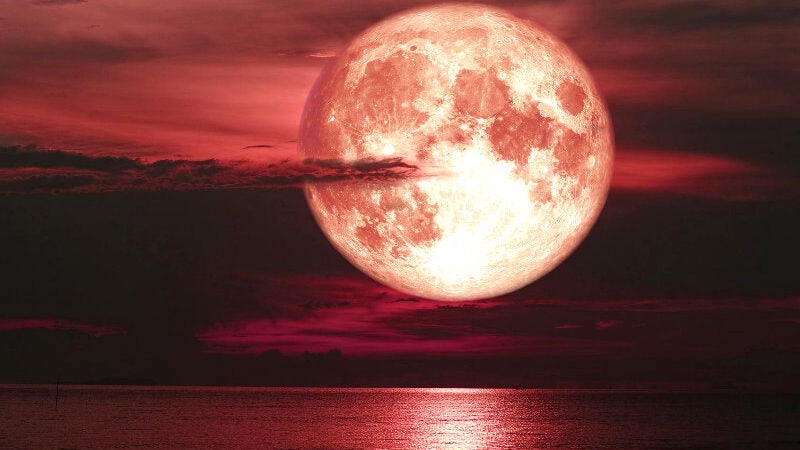 Superlua de Morango aparece hoje: mais próxima da Terra