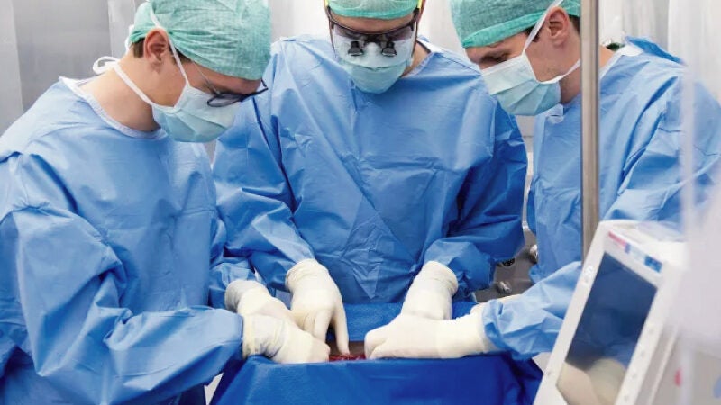 Nova técnica preserva fígado humano por 3 dias para transplante