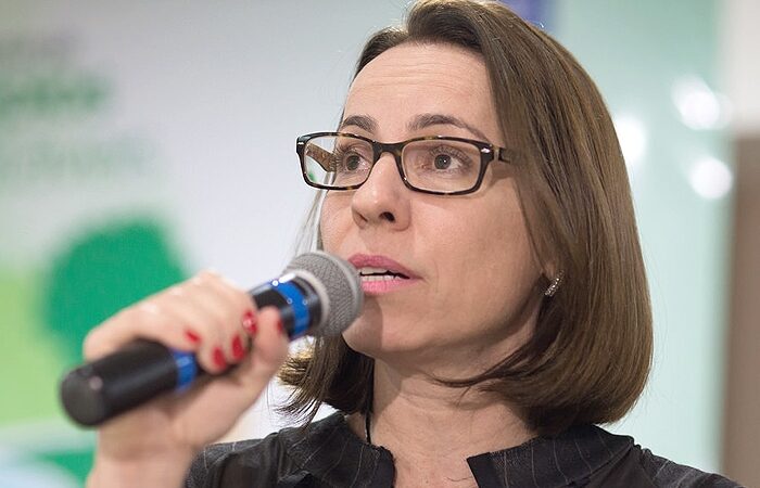 MP fará audiência pública com produtores do Estado para tratar da produção on farm de bioinsumos