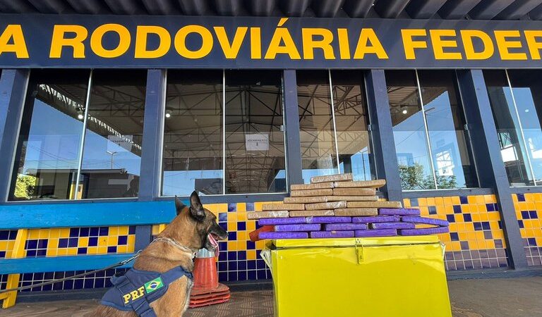 Maconha é apreendida em caixa térmica que estava em ônibus